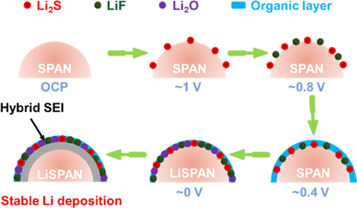 In Situ Characterization of Over-Lithiation of Organosulfide-Based Lithium Metal Anodes