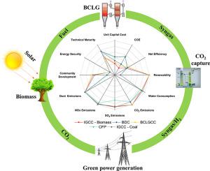 Sustainability evaluation of biomass direct gasification using chemical looping technology for power generation with and w/o CO2 capture